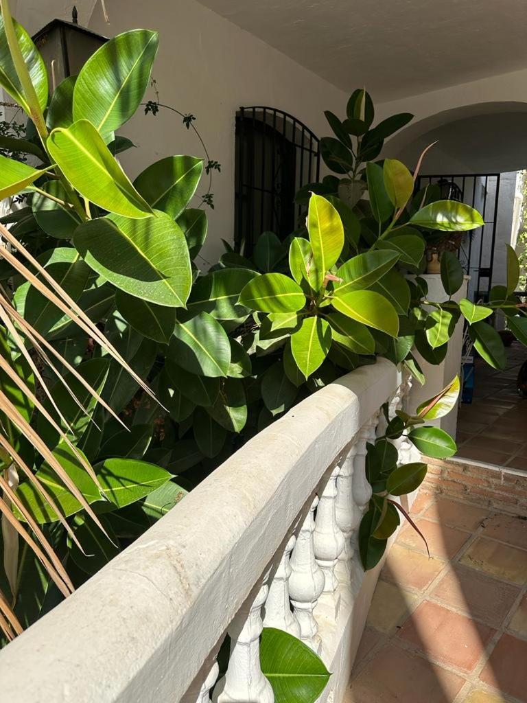 Monte Cielo Apartment Nerja Bagian luar foto